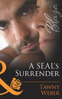 A SEAL\'s Surrender