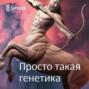 «Много хищников быть не может». Станислав Дробышевский – о том, почему пропали неандертальцы